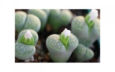 ​用避孕套前，千万别做6件事！否则分分钟闹出“人命”