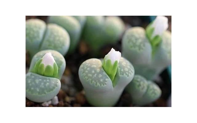 用避孕套前，千万别做6件事！否则分分钟闹出“人命”