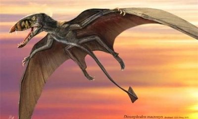 ​翼龙为什么会飞呢(翼龙是会飞的恐龙吗)