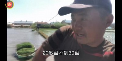 ​农民王小，网络中的清流，不怕苦不怕累，满满正能量的主播