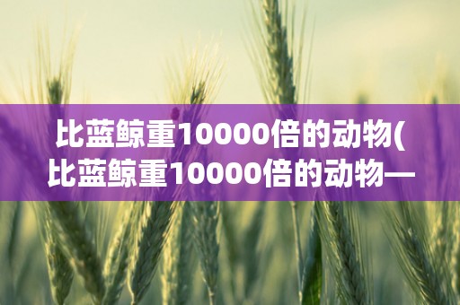 比蓝鲸重10000倍的动物(比蓝鲸重10000倍的动物——巨型恐龙详解)