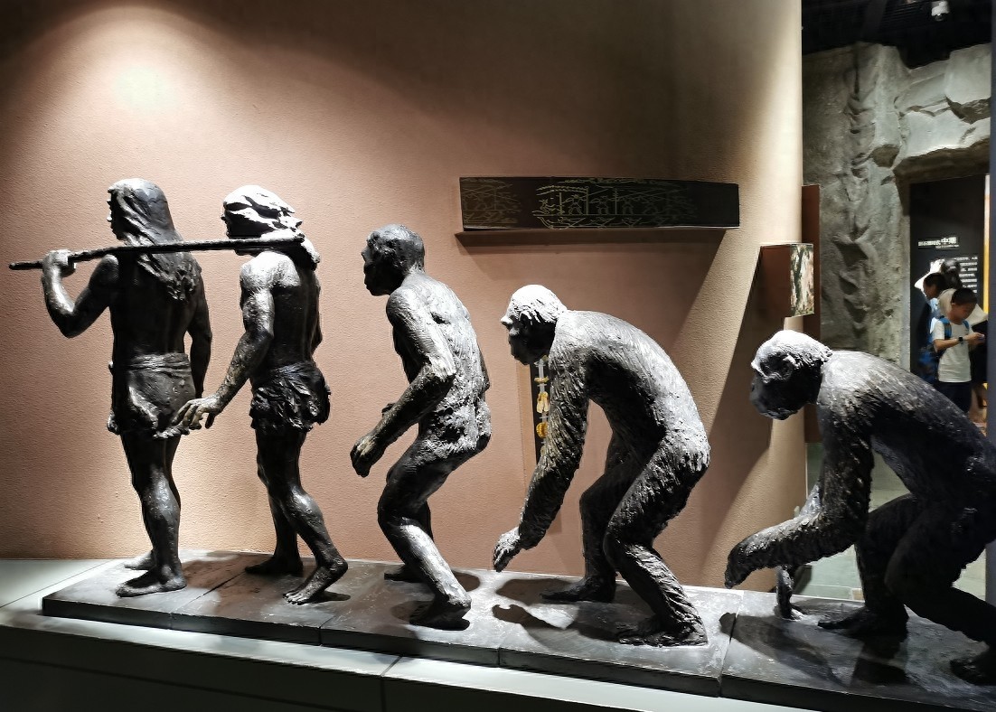 重庆小朋友最爱去的展厅，重庆科技馆