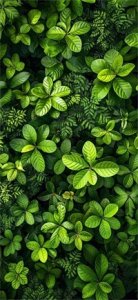 ​清新好看的壁纸一组