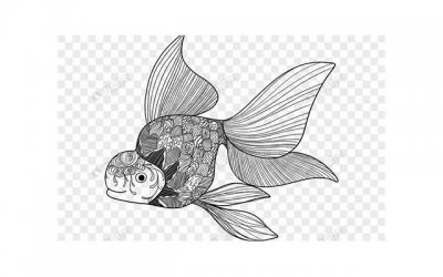 ​李晨和张馨予（被曝是旧爱李晨相送）