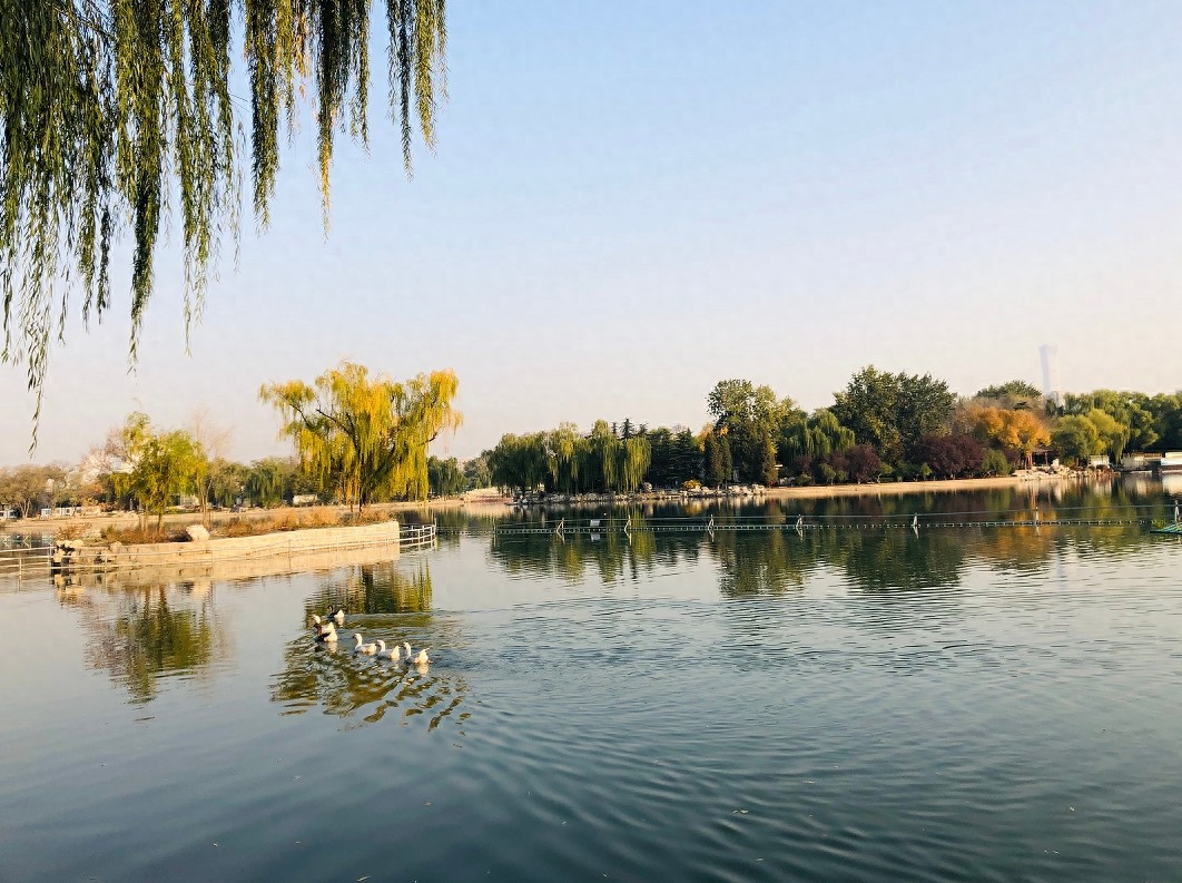 深秋的北京处处是美景，逛北京龙潭公园