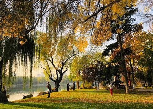 深秋的北京处处是美景，逛北京龙潭公园