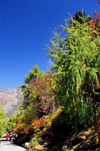 ​康定木格措景区游记