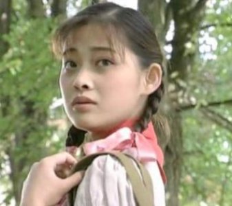 ​梅婷出演的18部剧，《父母爱情》上榜，看过一半的算是真爱粉