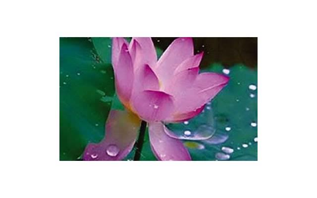 退休之后：让自己幸福的8件小事