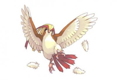 《精灵宝可梦》图鉴018:杀马特贵族的崛起代表-大比鸟