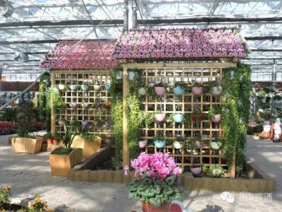 ​五一去哪玩儿？人少、景美、活动多，这些地方够你嗨3天！