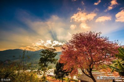 ​《九零空间之福女》 种田文 重生 甜文