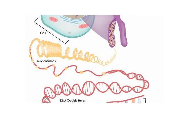 男子怀疑女儿不是亲生要求做dna(dna鉴定非亲生丈夫能接受吗) 男子怀疑女儿不是亲生要求做dna(dna鉴定非亲生丈夫能接受吗)