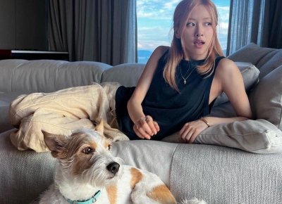 ​最近比较火的恋爱综艺？最近很火的恋爱综艺