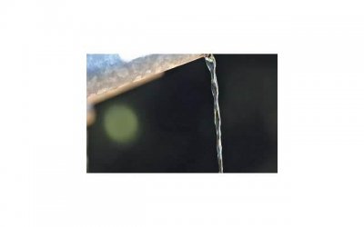 ​男性叶酸摄入：一天一粒对健康有何好处？