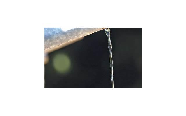 男性叶酸摄入：一天一粒对健康有何好处？