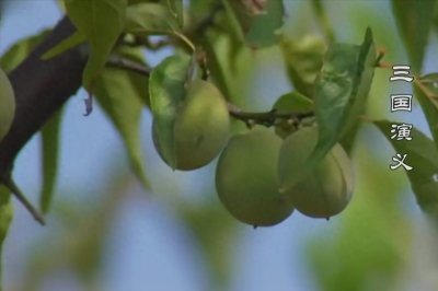 青梅煮酒论英雄的4个细节