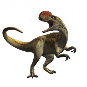 ​单脊龙：一种令人惊叹的远古捕猎者