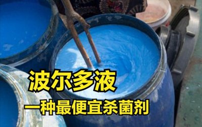 ​农民使用杀菌剂，为啥偏爱“波尔多液”？不只是因为便宜