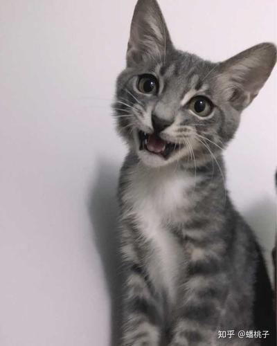 王璐丹图片，王璐演过的电视剧(王璐是哪部电视剧)