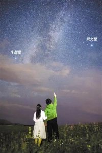 天上的星星像什么(天上的星星像什么填空)