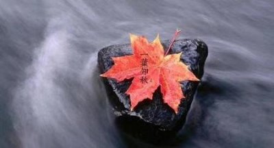 ​张伦硕和钟丽缇现状(钟丽缇和张伦硕感情变了)