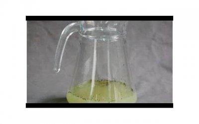 ​属羊的和什么属相最配（属羊的和什么属相最配最旺财）