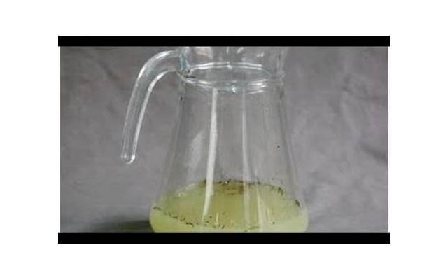 属羊的和什么属相最配（属羊的和什么属相最配最旺财）