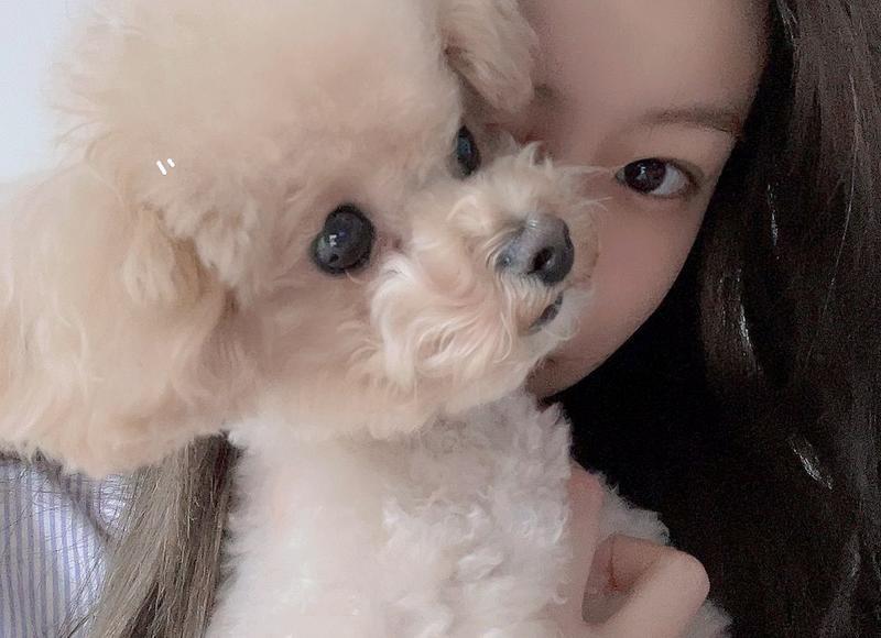 那我小声一点好不好？