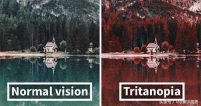 ​实拍：色盲眼中的世界，不像正常人一样丰富多彩，他们眼中的世界