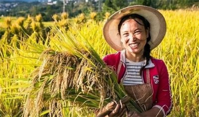 ​三农问题的重要性及应对措施